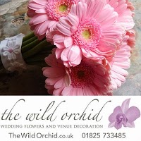 The Wild Orchid 1091912 Image 4